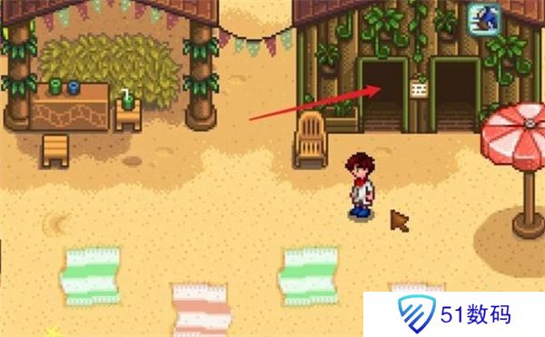 星露谷物语海盗湾怎么进 进入海盗湾方法攻略[多图]图片2