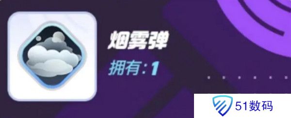 宝可梦大集结对战道具有哪些 对战道具介绍[多图]图片6