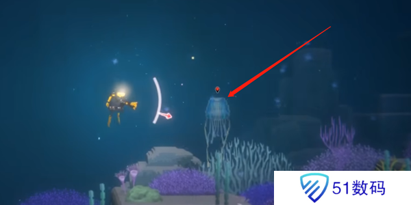 潜水员戴夫箱水母怎么抓 箱水母抓捕攻略[多图]图片1