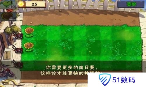 植物大战僵尸无尽版