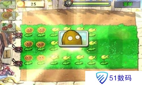植物大战僵尸无尽版