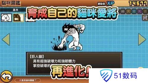猫咪大战争