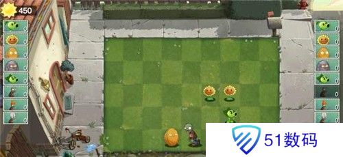 植物大战僵尸双人版