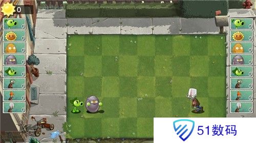 植物大战僵尸双人版