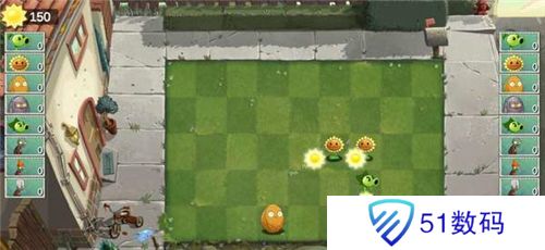 植物大战僵尸双人版