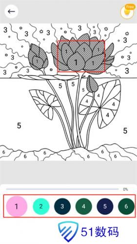 乐涂数字填色