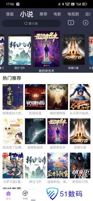 黑猪侠