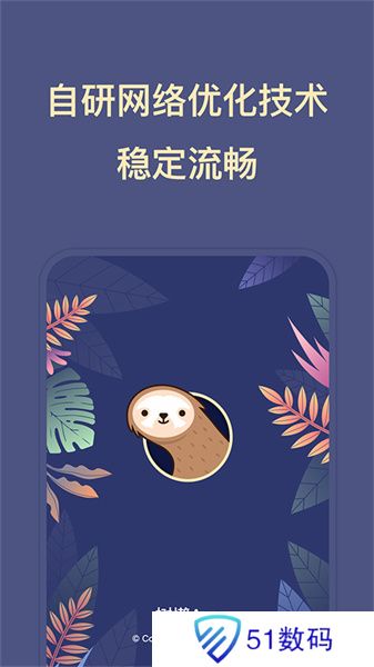 树懒Acc
