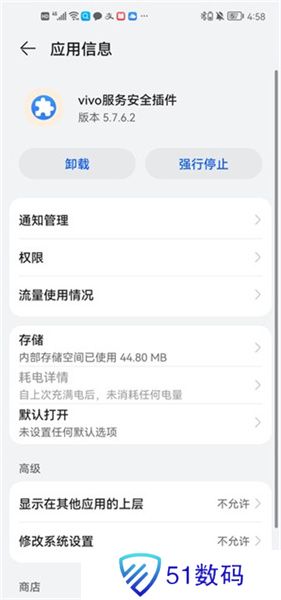 vivo服务安全插件