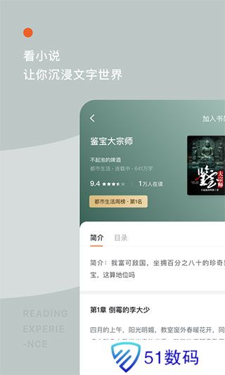 红果小说