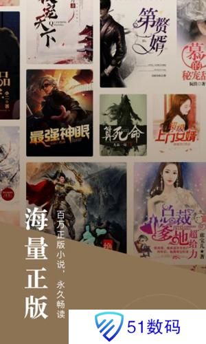 红果小说